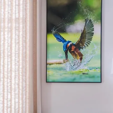 Hotel Vouga Termas de Sao Pedro do Sul