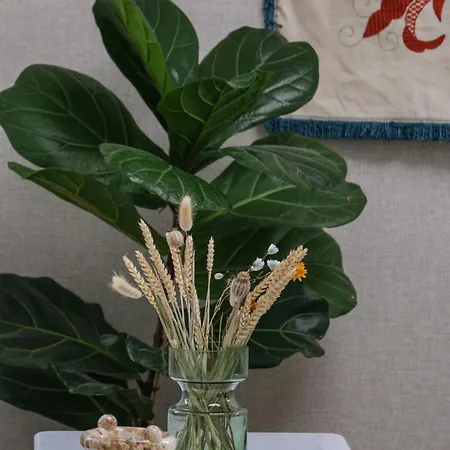 Vouga Termas de Sao Pedro do Sul