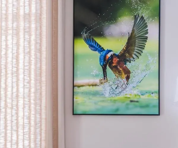 Hotel Vouga Termas de São Pedro do Sul