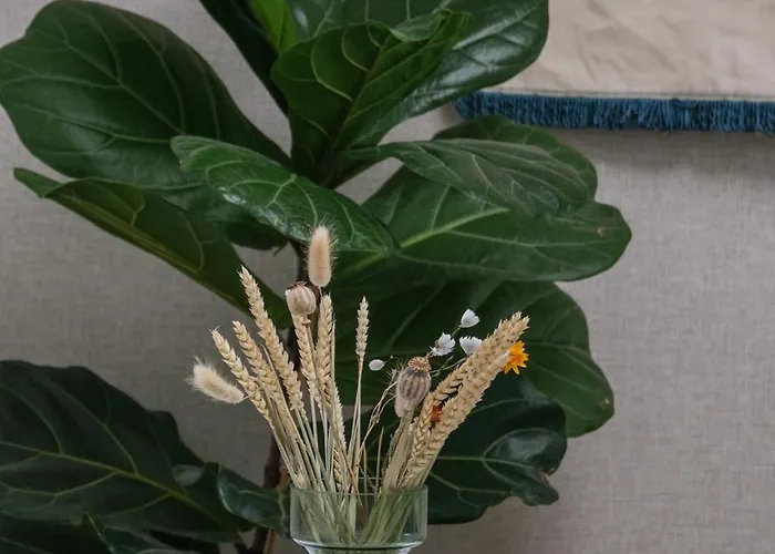 Vouga Termas de Sao Pedro do Sul