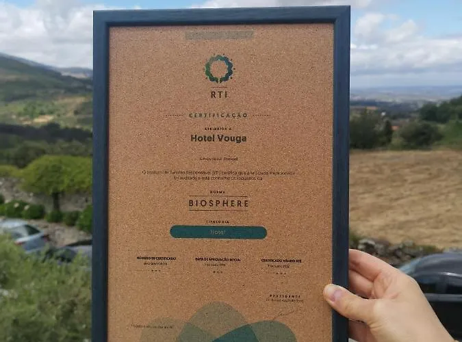 Vouga Hotel Termas de São Pedro do Sul